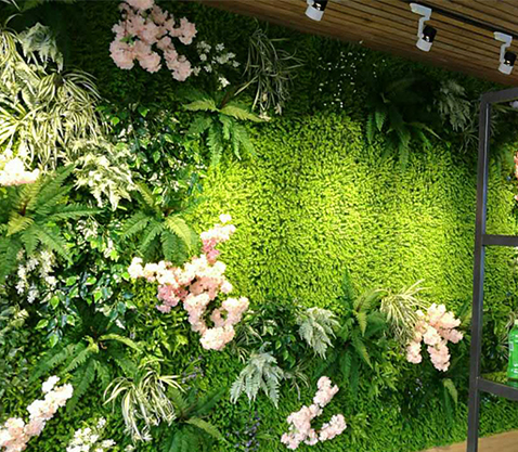 垂直植物墙在夏季有哪些好处