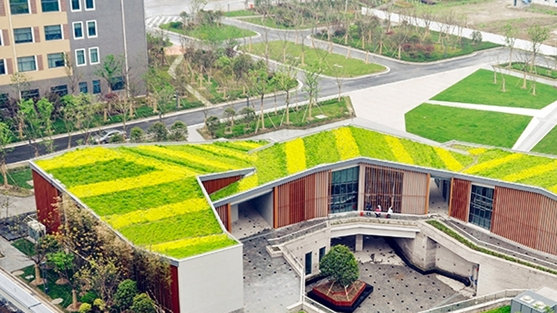 草坪式屋顶绿化