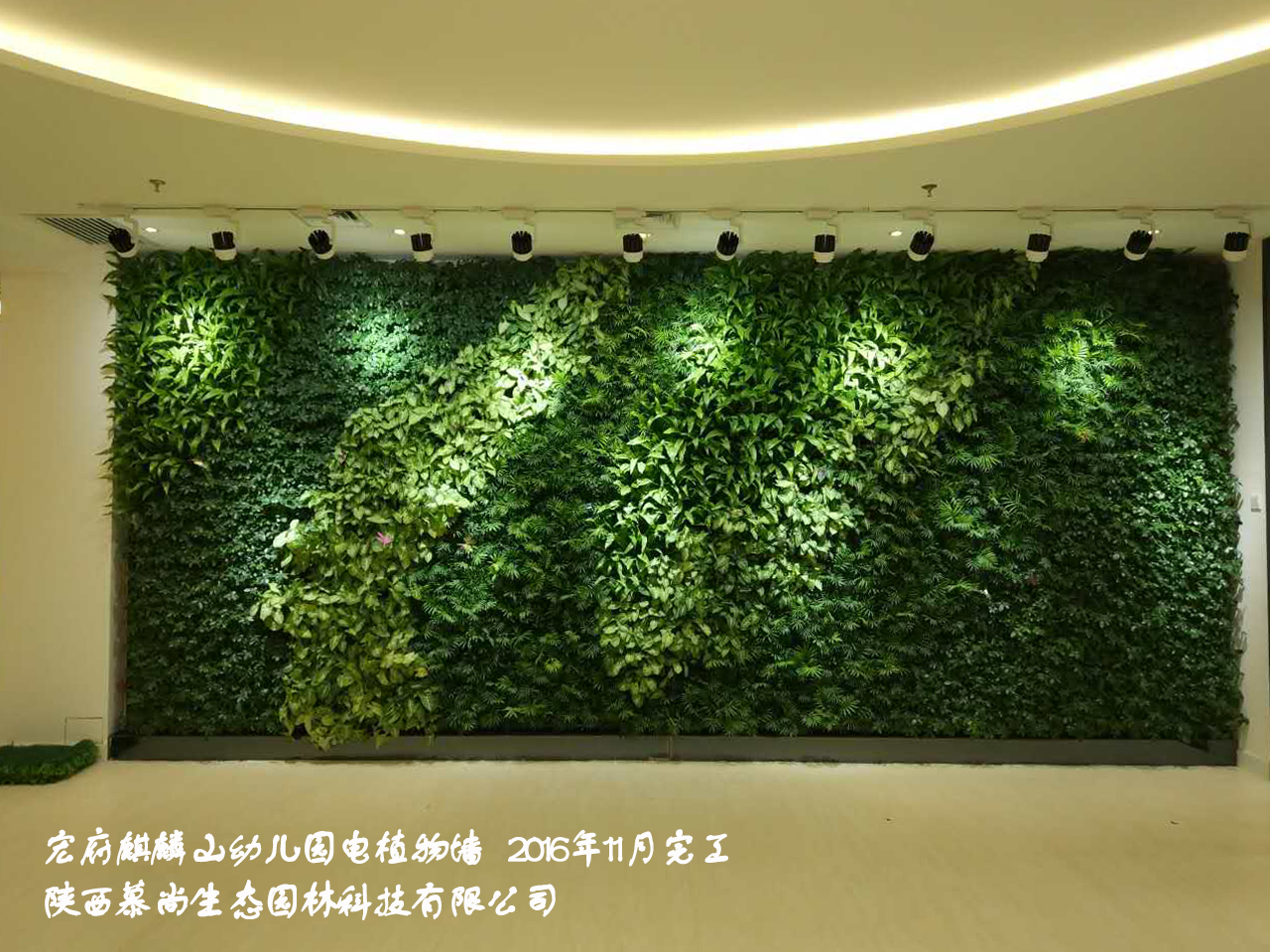 居室内里面哪些地方比较适合做植物墙呢？