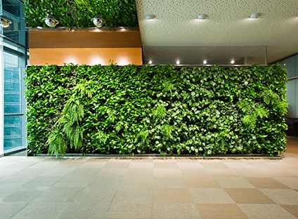 室内垂直绿化在咖啡馆中的设计应用