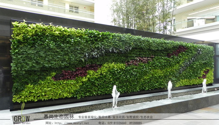 西安植物墙的维护体系合理,绿植墙养护有良方