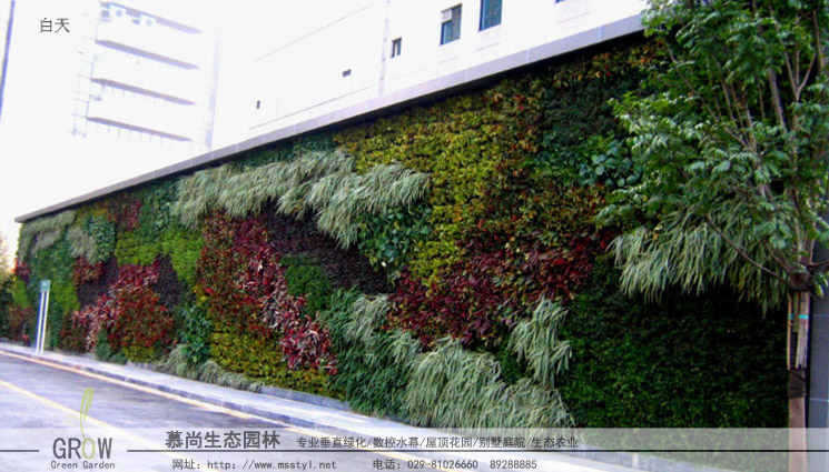 植物墙兴起与发展,以及目前的发展动向