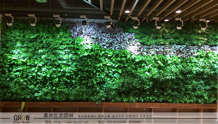 真植物墻
