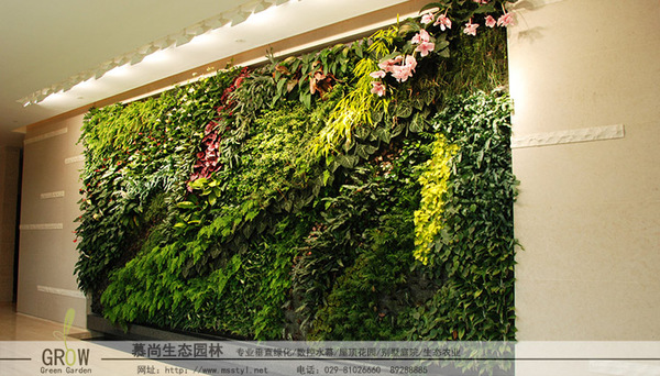 生态墙,西安生态墙,西安生态墙设计,西安生态墙制作,西安生态墙报价,西安生态墙多少一平方