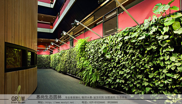 办公室植物墙开启天然氧吧自然空气