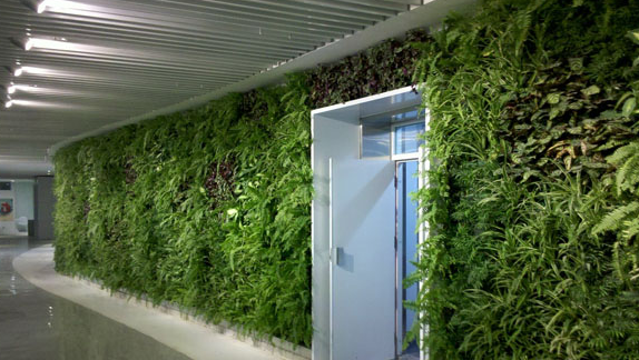 仿真植物墙公司分享四种会变色的绿植墙