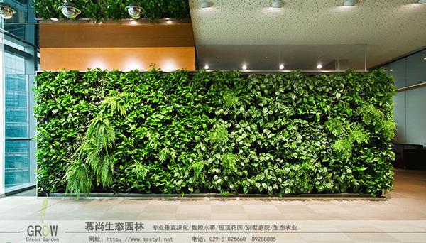 有了室内植物景观墙点缀环境生活更美