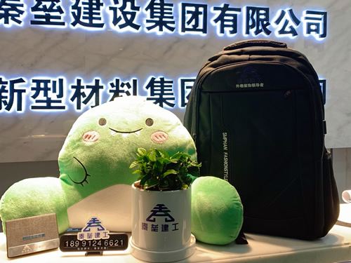 运动背包