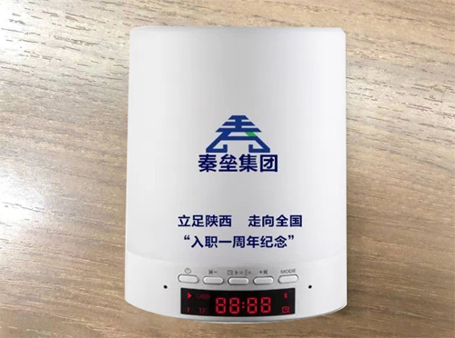秦垒定制周年音响