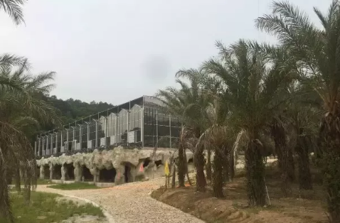 玻璃温室生态餐厅建造有哪些特点？具体区域划分是怎样？