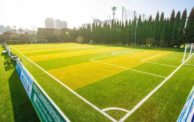 陕西亿诚体育设施有限公司,人造草坪和天然草坪相比的区别是什么?