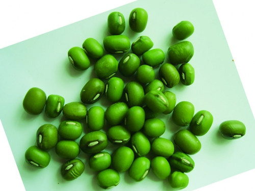 娄烦特产食品绿豆的美容功效与作用