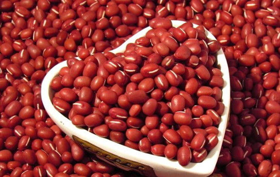 优质娄烦特产厂家解析红豆的营养价值