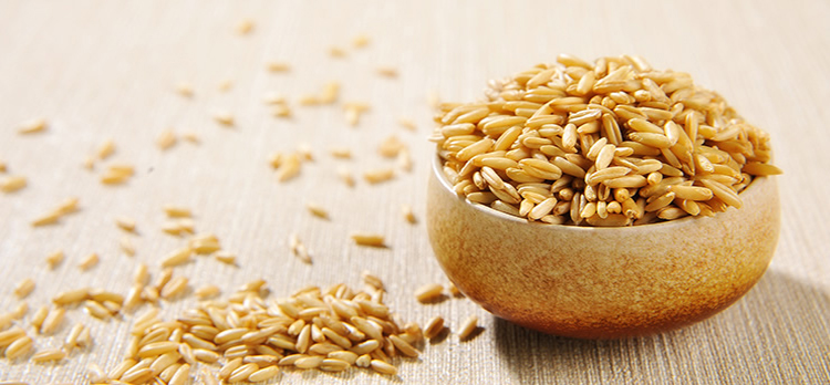山西娄烦特产厂家解析吃燕麦的小技巧
