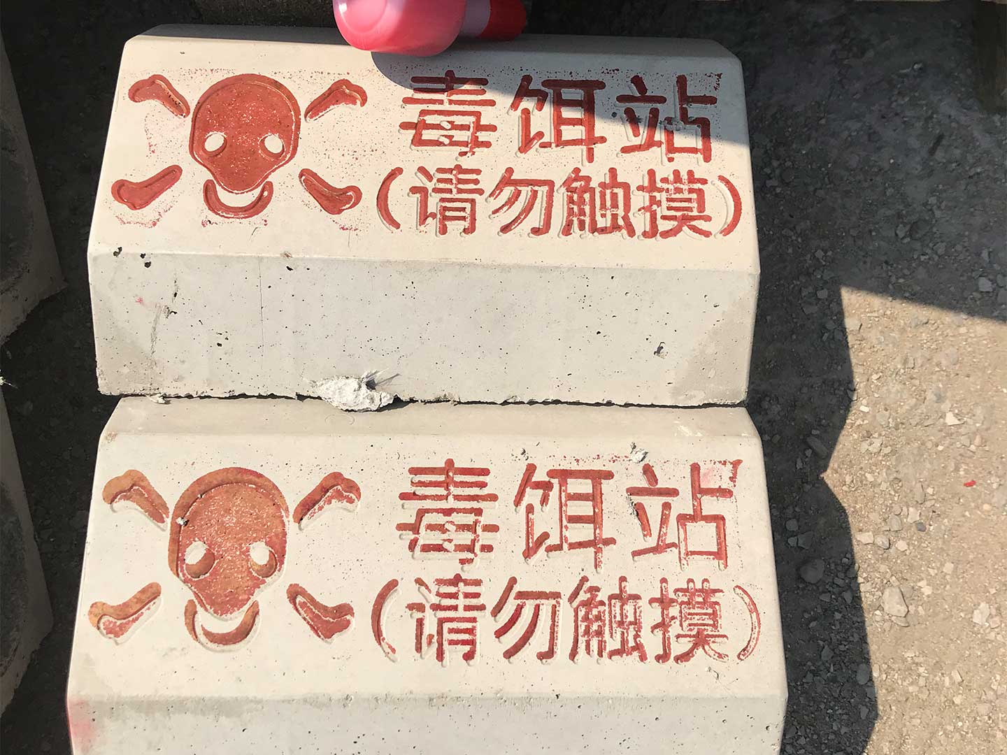 老鼠毒餌站