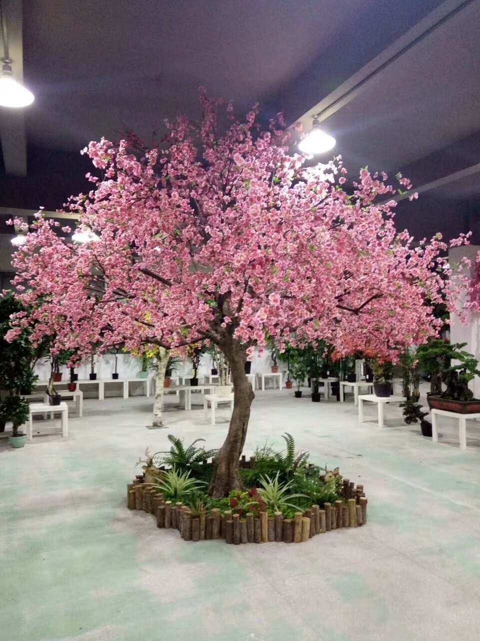 图片描述