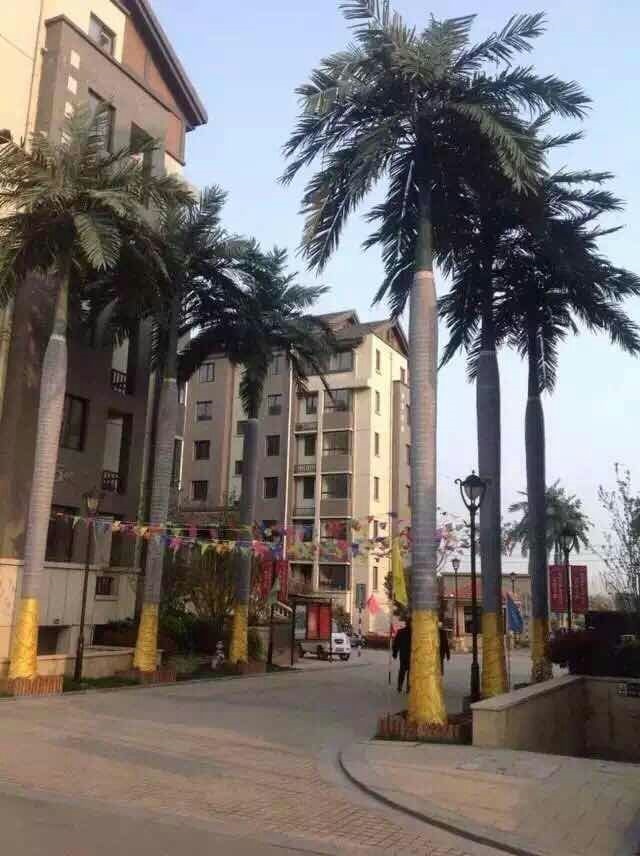 图片描述