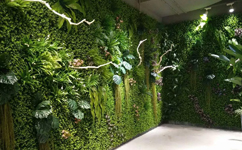 沈阳绿植墙,沈阳绿植墙厂家,沈阳绿植墙制作