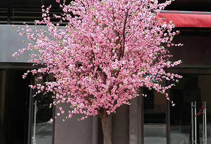 假櫻花樹