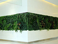仿真植物墙是室内装饰中不可分割的一部分