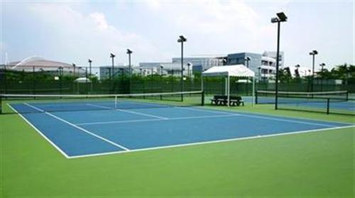 甘肃网球场围网、灯光安装，网球场地坪施工。一站式服务就找陕西世勇正德体育