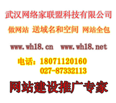 武汉网站建设、400电话、网站优化、网络营销，在武汉做网站，就找武汉网络家！