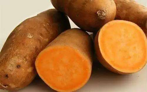 红薯粉条对人体有哪些益处