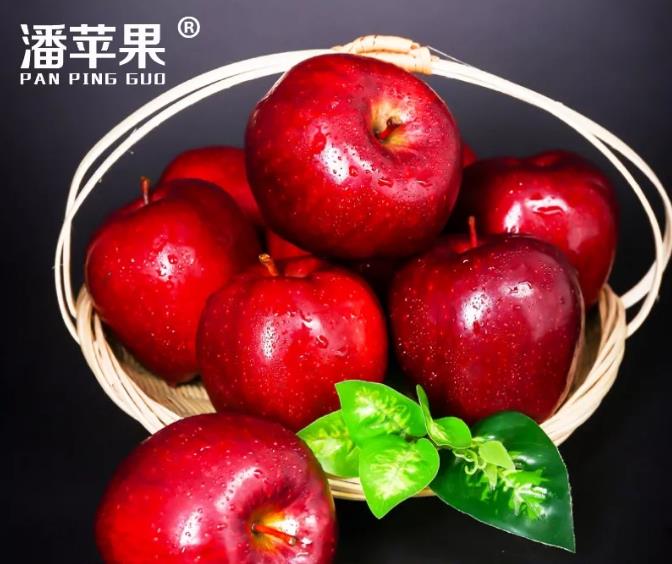 天水蘋果產區淺談潘蘋果為什么這么受歡迎