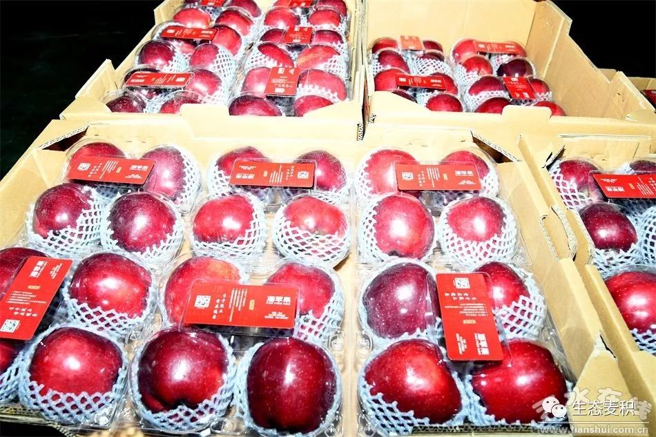 红富士苹果产地