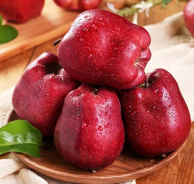 天水花牛苹果厂家告诉您红富士苹果的培育