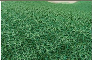 山东泰安厂家生产的新型三维HDPE土工网垫植草技术效果好