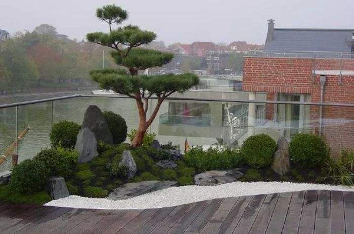 屋顶花园施工