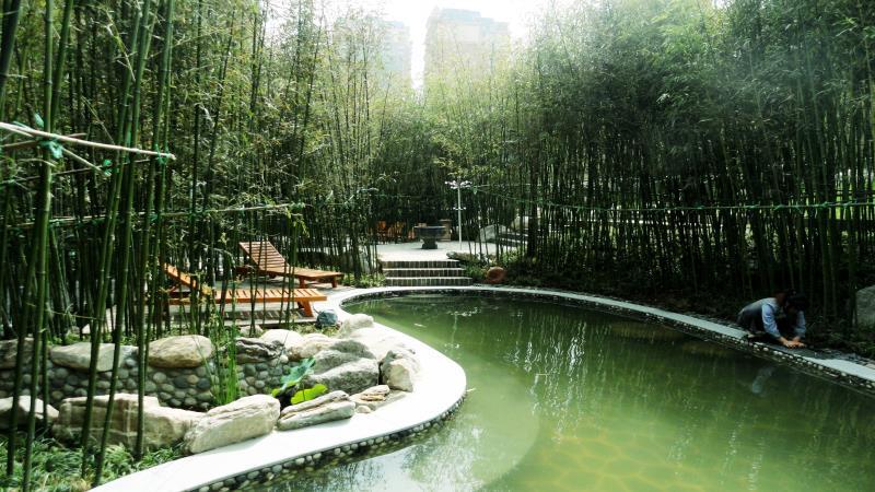 温泉景观设计