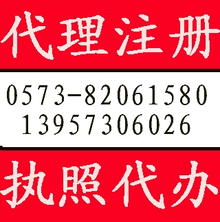 嘉兴外资公司注册代理营业执照 中讯财务