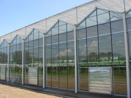 蔬菜温室大棚工程在冬季能否充分合理地利于太阳的光照