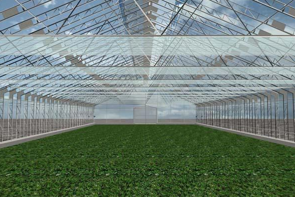 解析温室大棚种植蔬菜的小窍门以及温室大棚施工用电安全措施