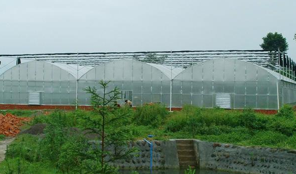 蔬菜温室大棚设施的基本维护有哪些