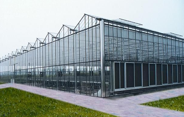 带你了解一下温室大棚有无立柱拱之间的区别以及温室大棚的种植技巧是怎样的呢