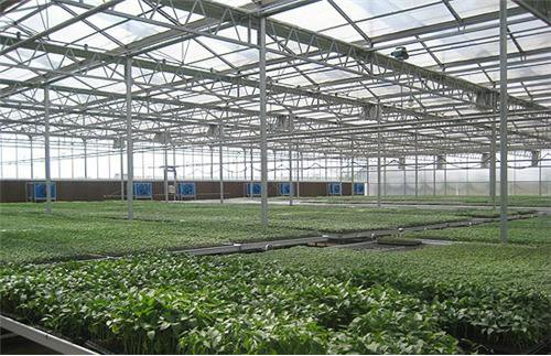  控制型大棚用途以及普通蔬菜温室大棚的设计标准有哪些