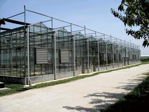 桂林/梧州温室大棚是如何做到质量把控的