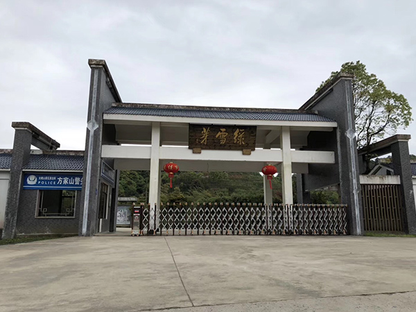 寧德福鼎太姥山綠雪芽白茶莊園強化復合地板安裝