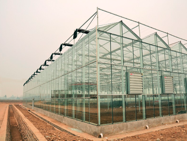 鋼結構玻璃溫室大棚
