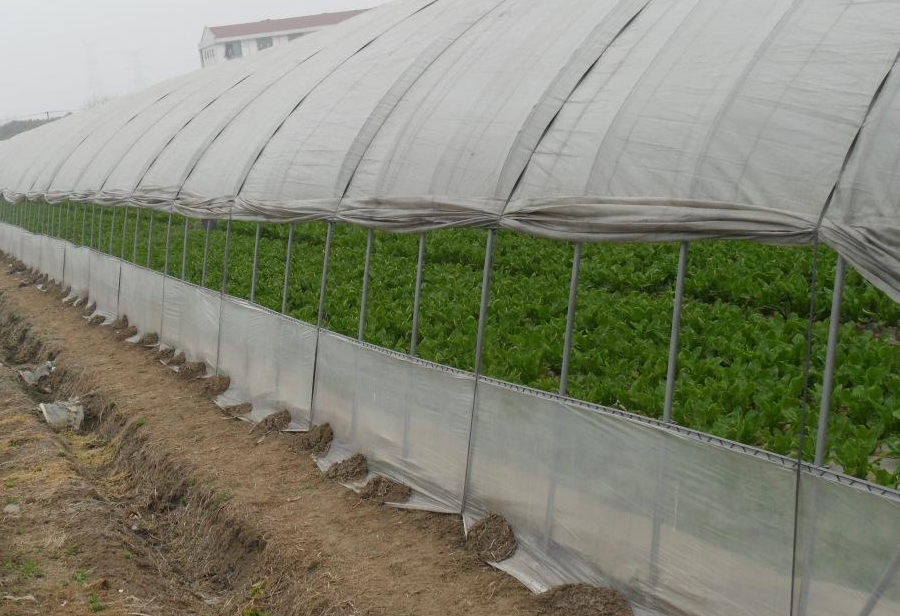 夏日炎炎如何給銀川蔬菜溫室大棚里植物降低溫度
