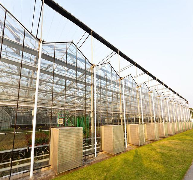 建造一亩农业温室大棚需要多少钱？