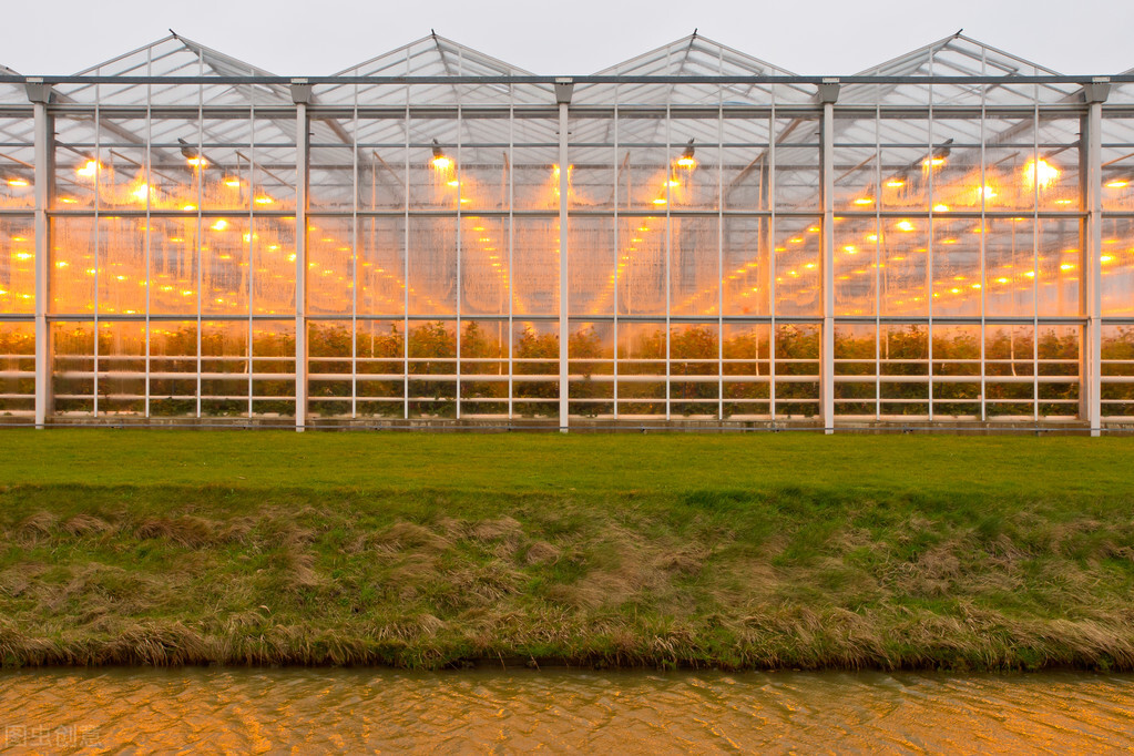 银川玻璃温室大棚种植蔬菜有哪些优势？