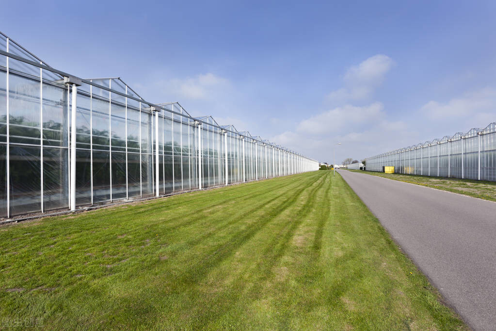 怎樣提高銀川玻璃溫室大棚的日光照射？