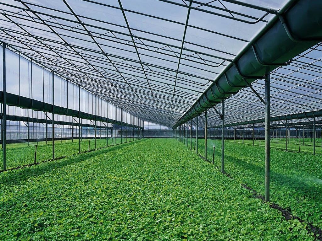 银川蔬菜温室大棚造价要考虑哪些材料？