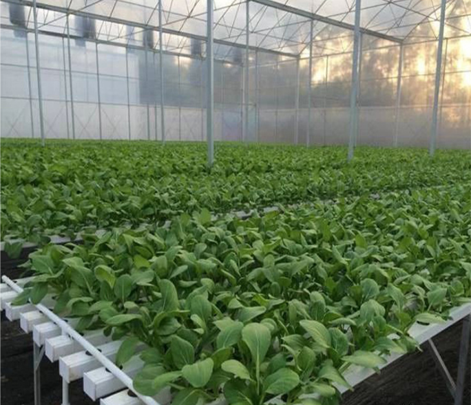 如何降低银川农业温室大棚的成本？