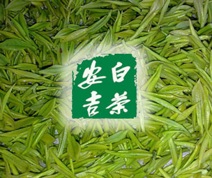 西安安吉白茶具有代谢机能的特异性