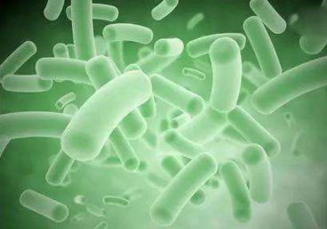酶底物法怎么检测水中大肠杆菌—西安海研生物科技